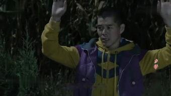 农夫偷香记在线观看,一场别开生面的田园奇遇  第2张