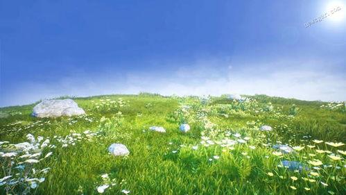 青青草原在线视频观看,青青草原在线视频精彩回顾