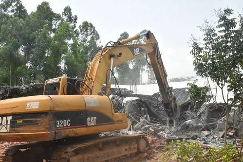 廉江爆料新闻最新,揭秘某重大事件背后真相 第1张 廉江爆料新闻最新,揭秘某重大事件背后真相 第1张